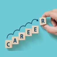 Career